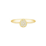 Anel Chuveiro Ouro 18K Golden Line